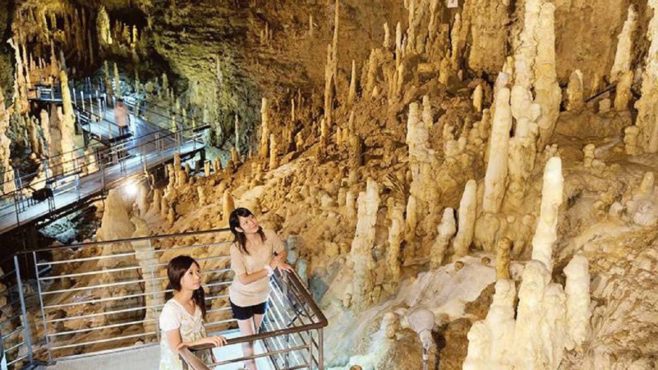 Okinawa World Pass - image 8