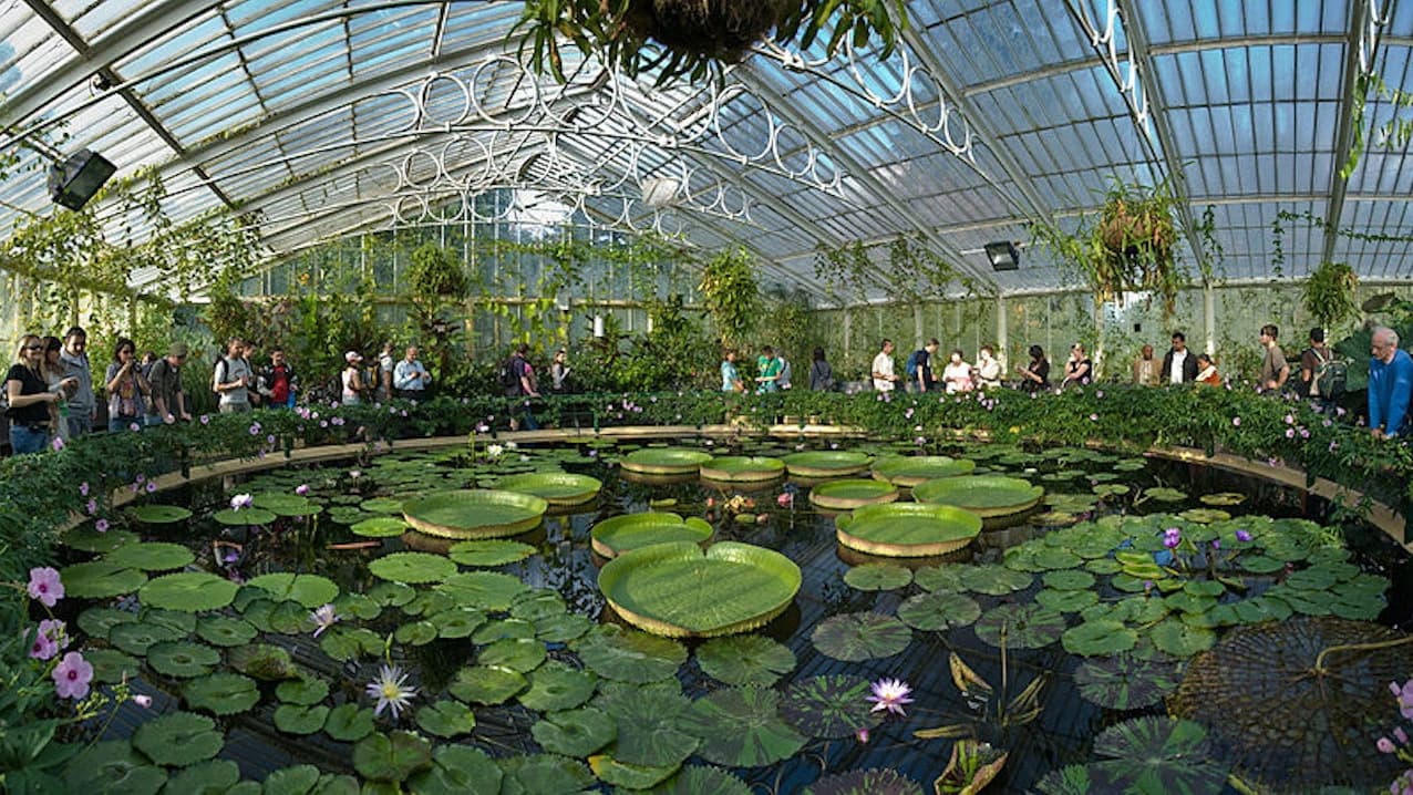 Kew Gardens - Photo 2