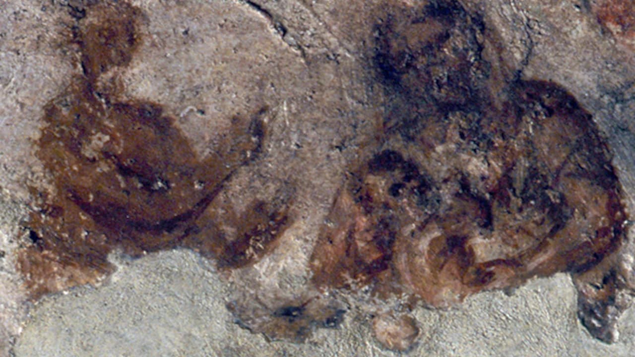 Priscilla Catacomb - image 8