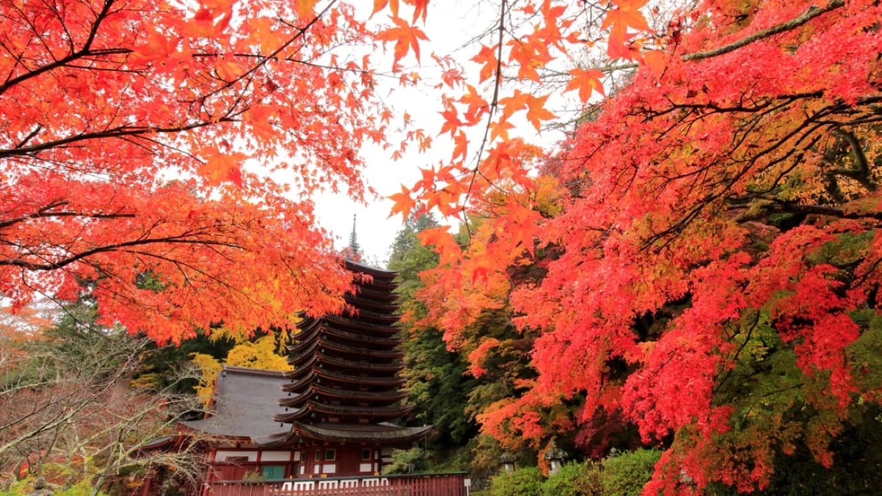 Kintetsu Rail Pass - Train & Bus Pass in Osaka, Nara, Kyoto, Mie (Ise Shima), Nagoya - Photo 4