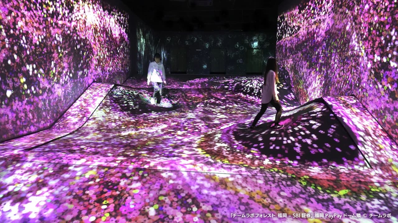 teamLab Forest Fukuoka - Photo 3