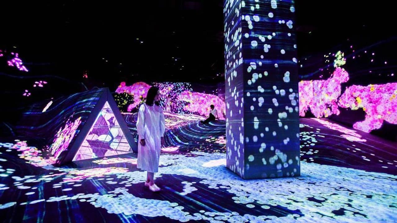 teamLab Forest Fukuoka - Photo 4