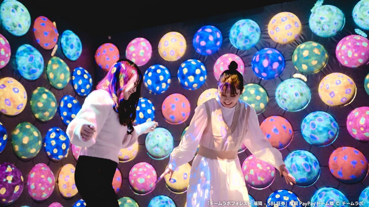 teamLab Forest Fukuoka - Photo 5