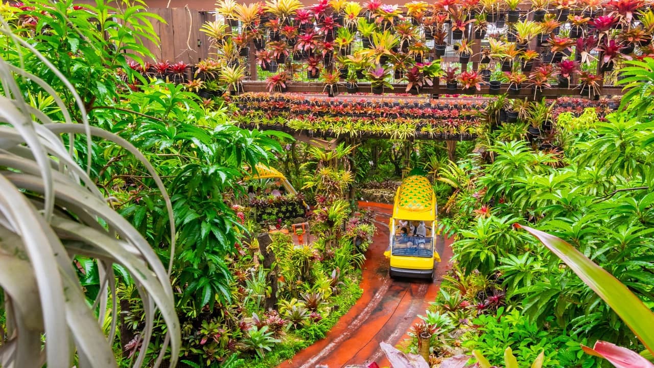 Okinawa Nago Pineapple Park - Photo 3