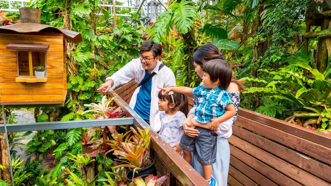 Okinawa Nago Pineapple Park - image 8