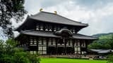 Nara Tour from Kyoto - image 7