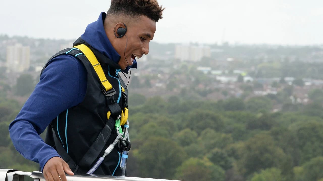 The Dare Skywalk at Tottenham Hotspur Stadium Ticket - Photo 5