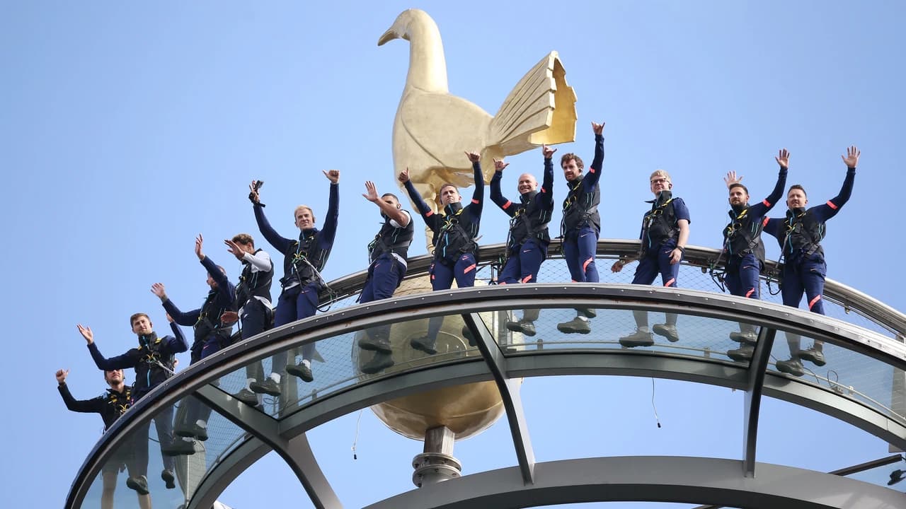 The Dare Skywalk at Tottenham Hotspur Stadium Ticket - image 6