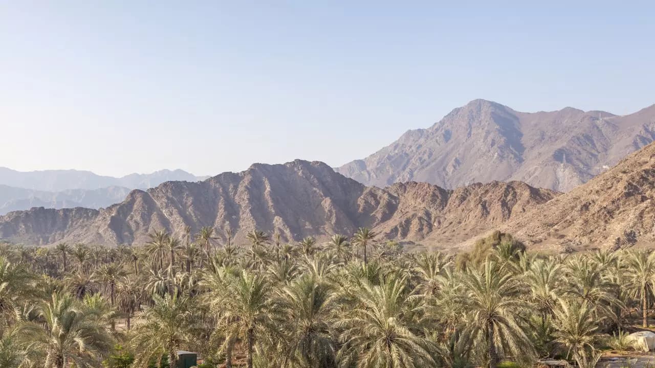Private Fujairah City Tour from Fujairah - image 6