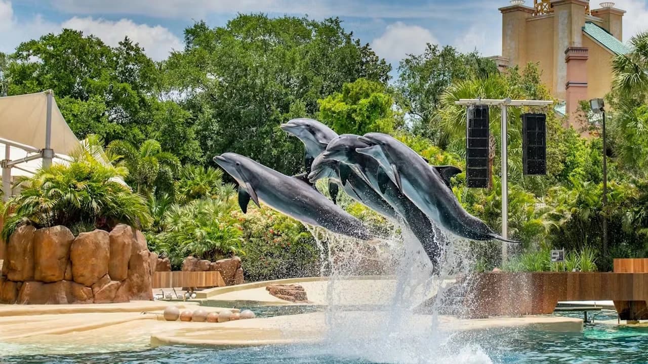 SeaWorld Orlando Ticket: Direct Entry + Optional All-Day Dining Deal + Multi-Park Discount Ticket - image 6
