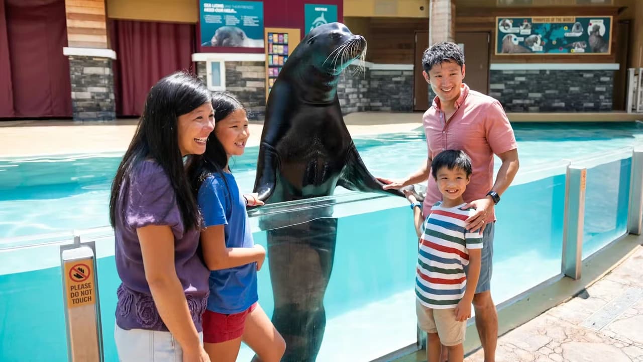 SeaWorld Orlando Ticket: Direct Entry + Optional All-Day Dining Deal + Multi-Park Discount Ticket - image 7