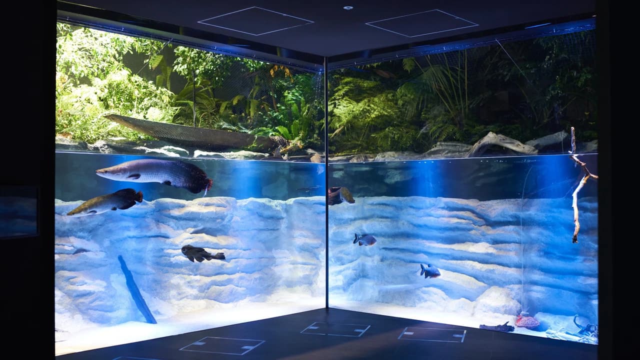 Kawasaki Aquarium Ticket