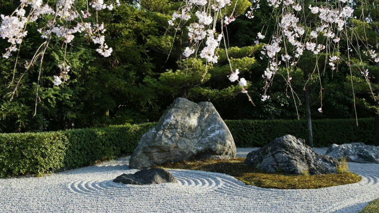 Myoshinji Temple Self-Guided Tour with Lunch - image 7