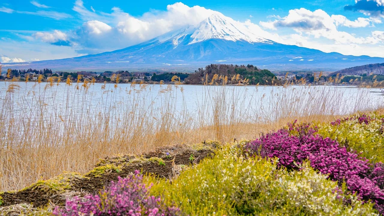 Mount Fuji, Kamakura, Lake Ashi, and Big Buddha Full-Day Tour from Tokyo
