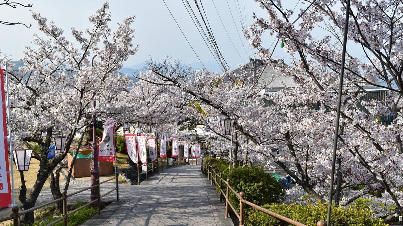 Mt. Senkoji Ropeway - image 7