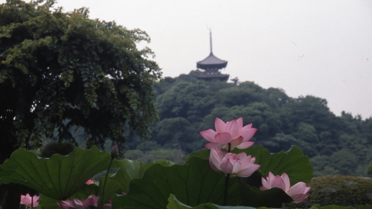 Sankeien Garden Ticket