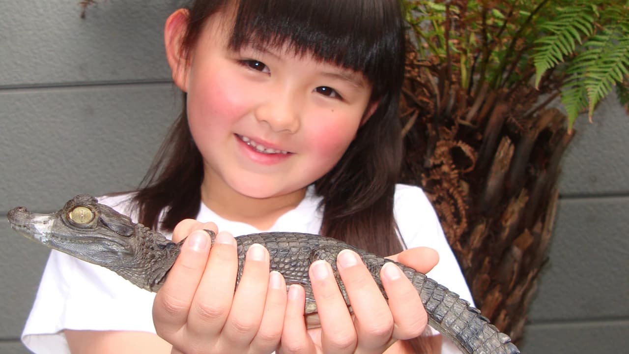 iZoo Sensory Zoo Ticket - Photo 2