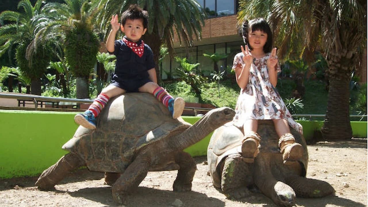 iZoo Sensory Zoo Ticket - Photo 3