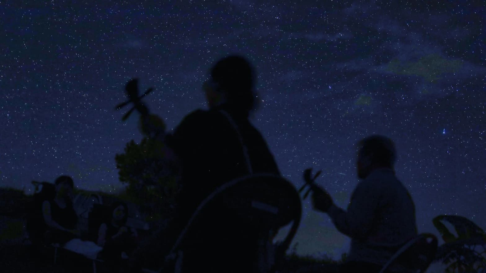 Ishigaki Island Stargazing Experience - image 7
