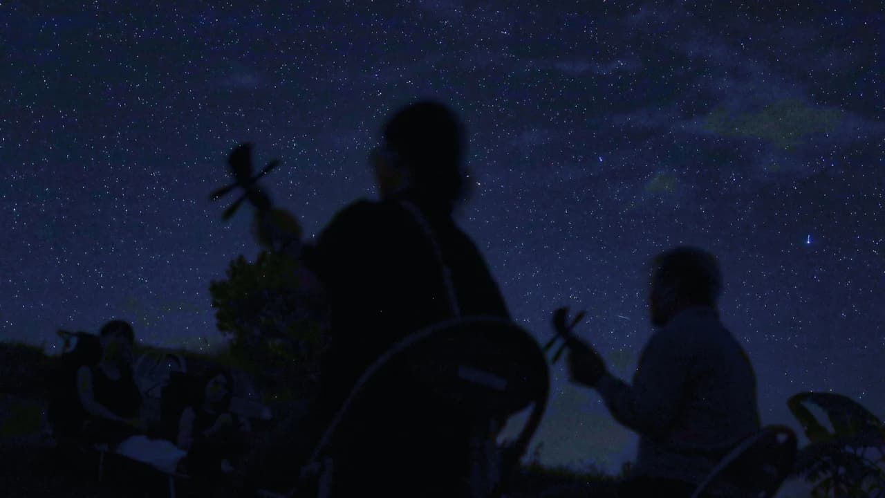 Ishigaki Island Stargazing Experience - Photo 2