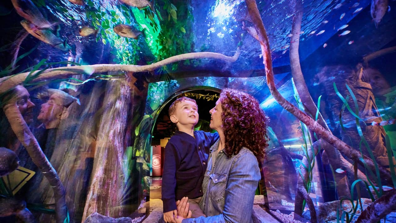 SEA LIFE New Jersey Aquarium Ticket