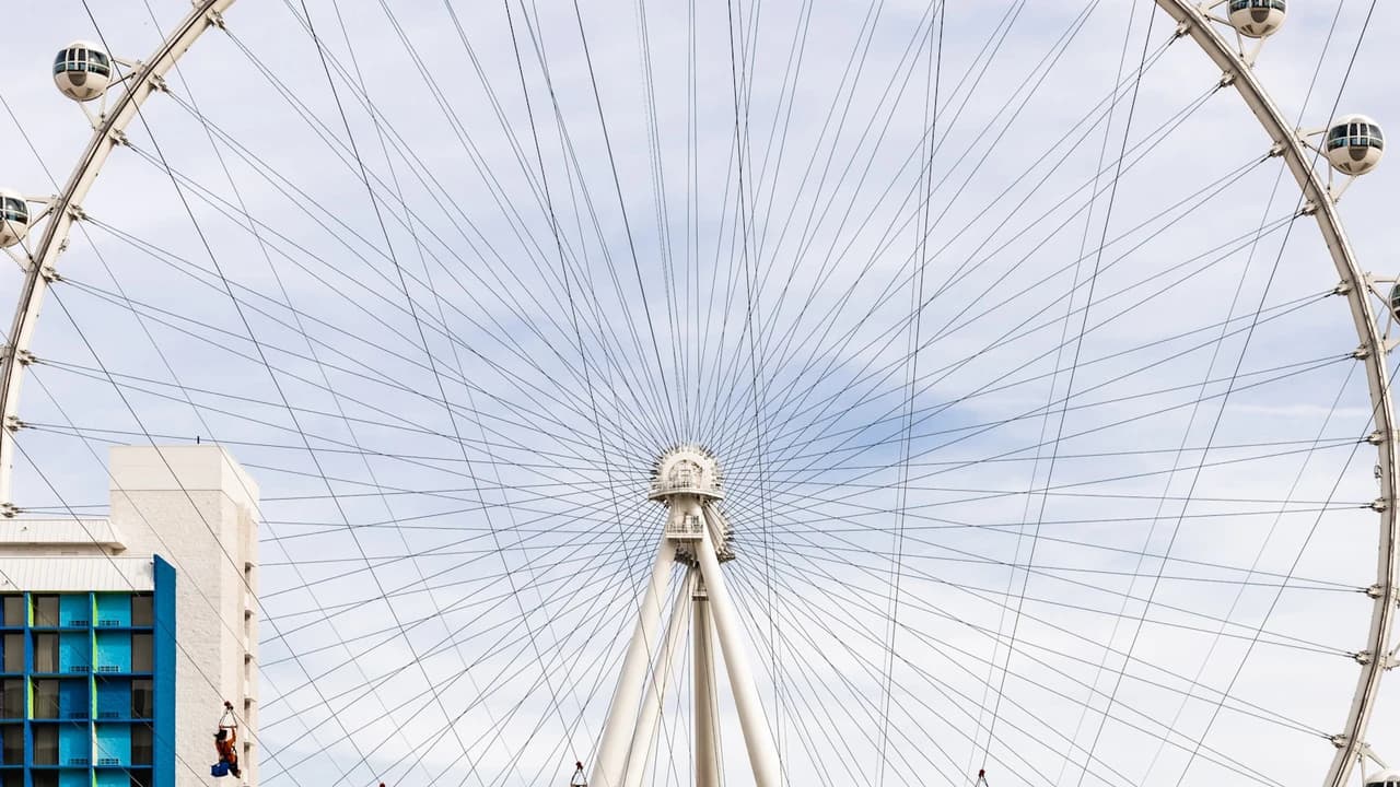 Fly LINQ Zipline