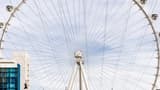 Fly LINQ Zipline - Photo 5