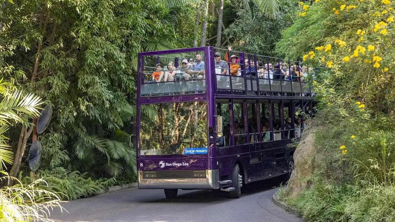 2-Visit Pass: San Diego Zoo + San Diego Zoo Safari Park Tickets - image 7