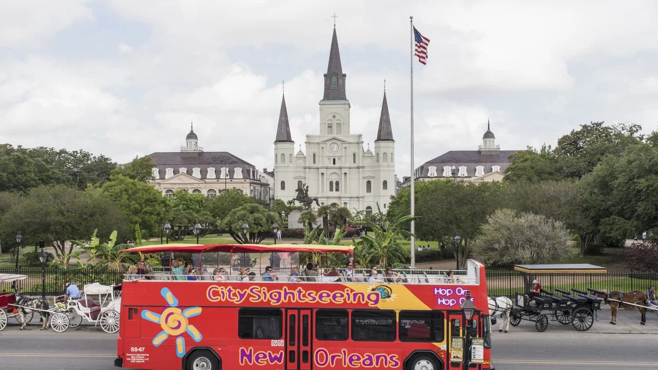 City Sightseeing New Orleans Hop-on Hop-off Bus Tour