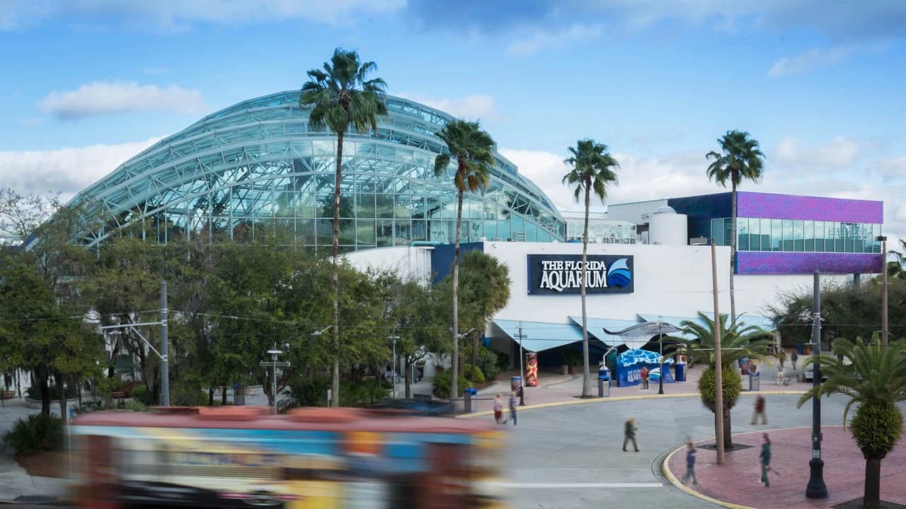 The Florida Aquarium Ticket