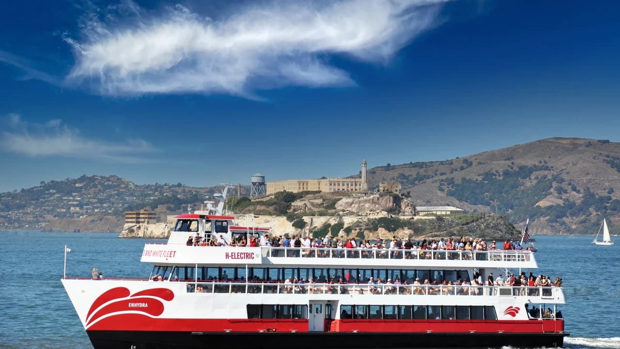 San Francisco Bay 1.5 Hour Bridge to Bridge Sightseeing Boat Cruise by Red and White Fleet