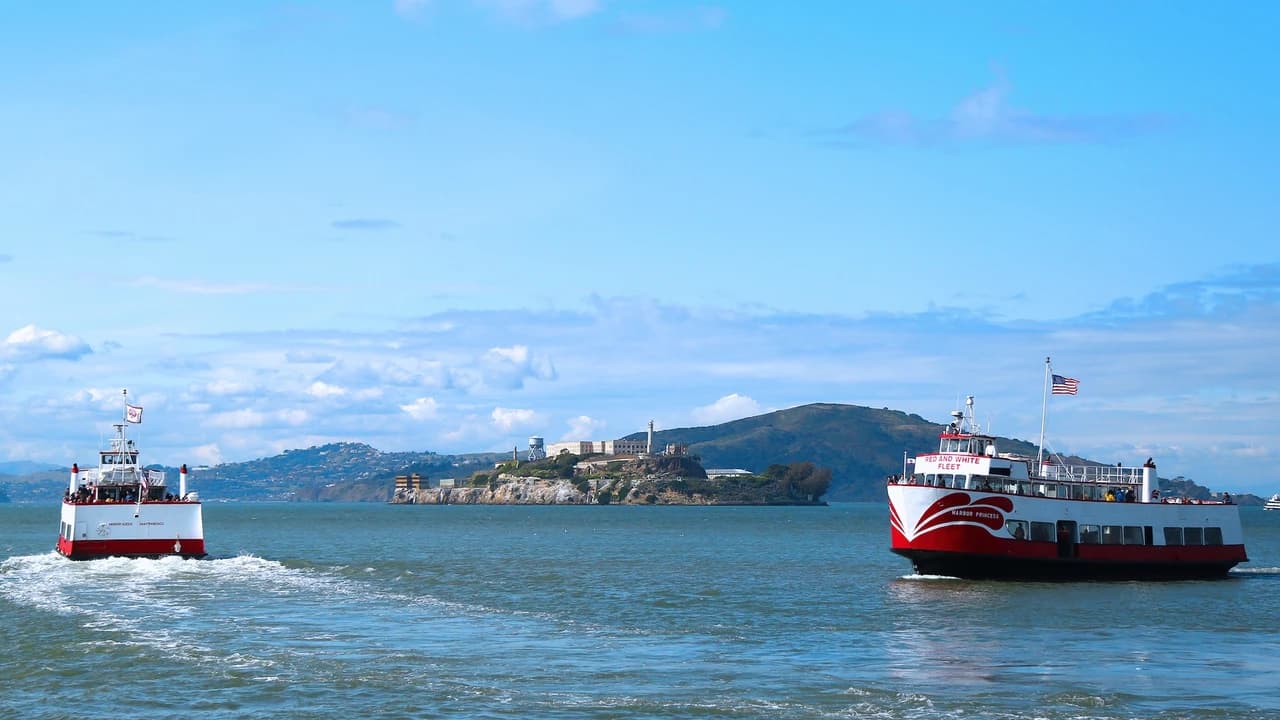 San Francisco Bay 1.5 Hour Bridge to Bridge Sightseeing Boat Cruise by Red and White Fleet - image 8