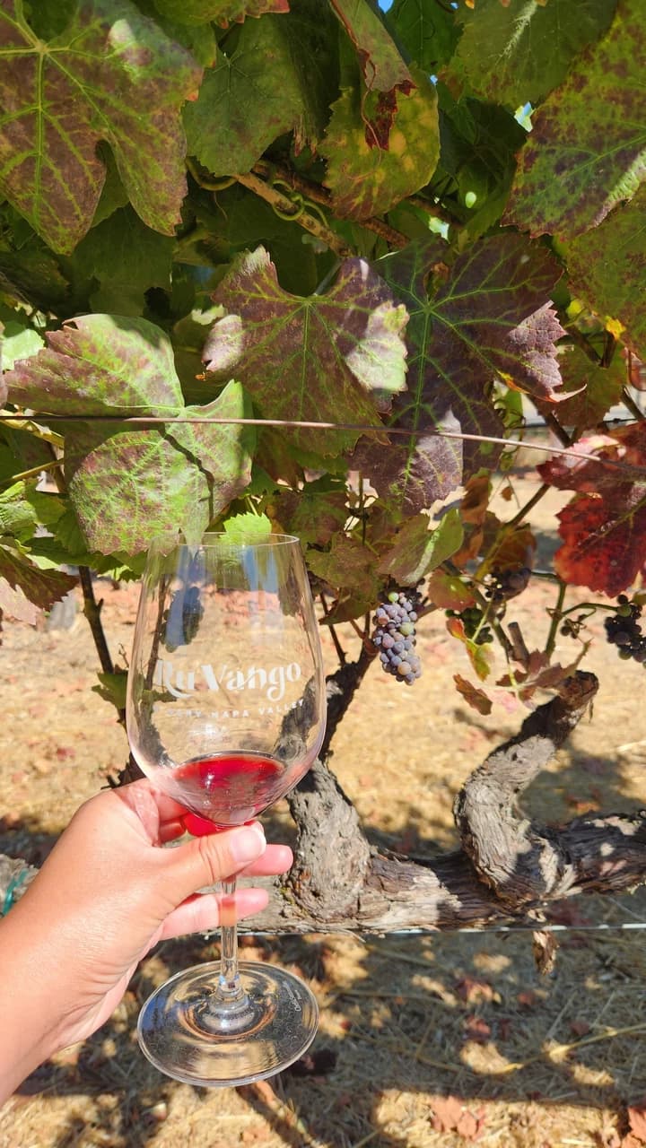 Napa and Sonoma Valley Wine Tasting Tour from San Francisco