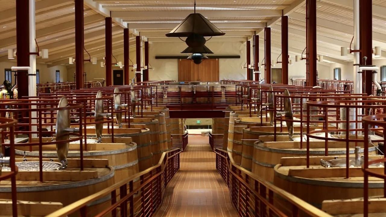 Napa and Sonoma Valley Wine Tasting Tour from San Francisco - Photo 4