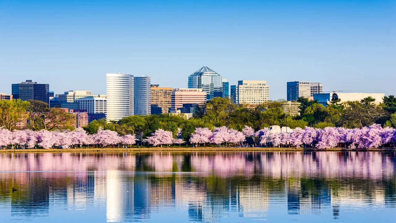 Washington DC and Philadelphia Tour from New York