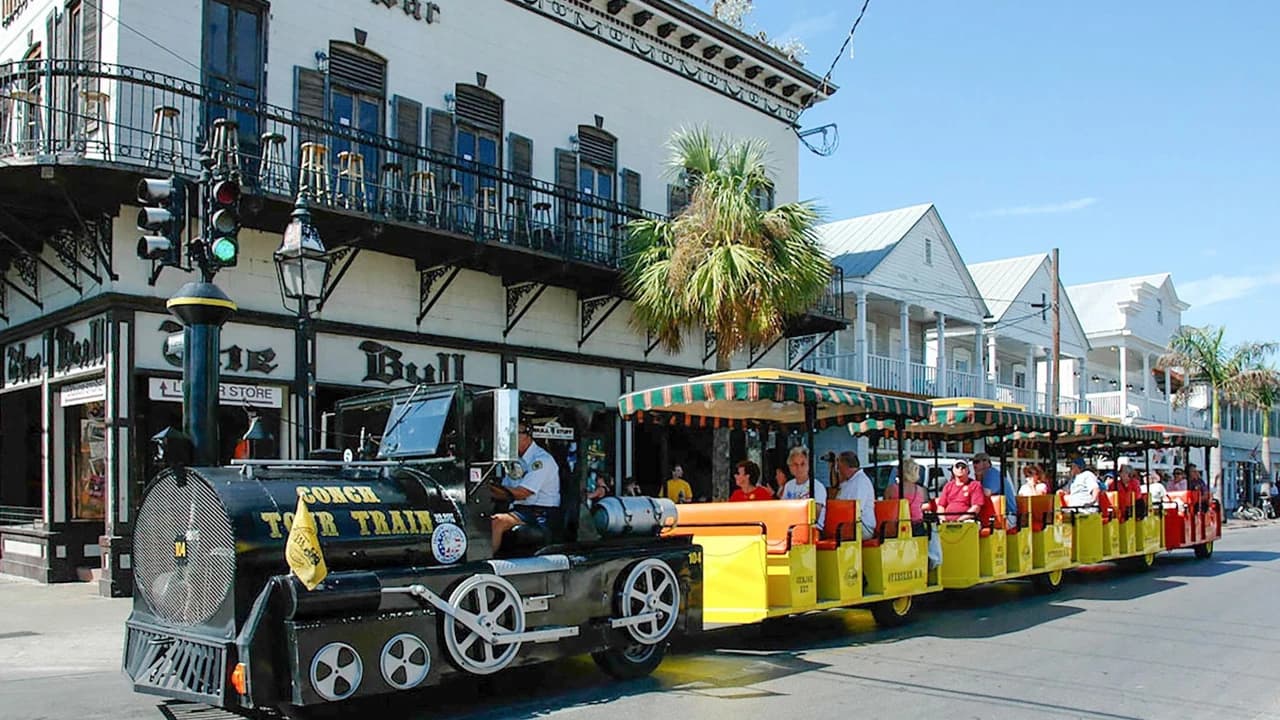 Day Trip to Key West from Miami with Optional Activities - image 7