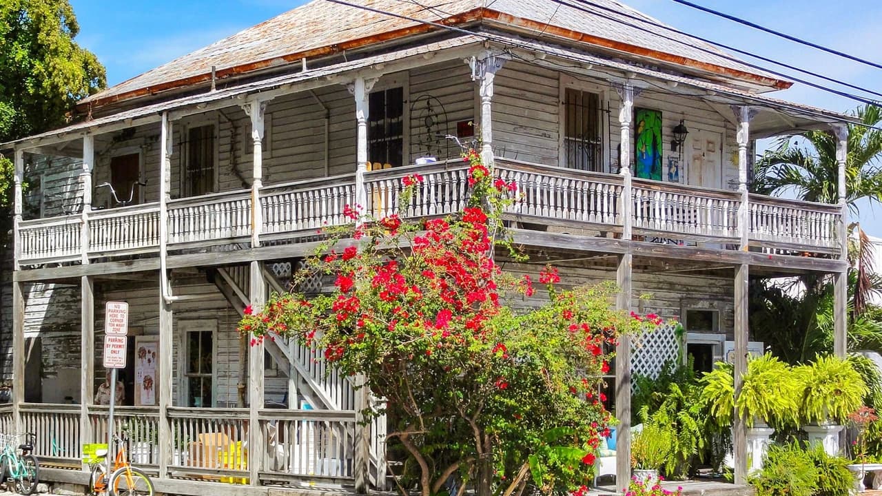 Day Trip to Key West from Miami with Optional Activities - image 8