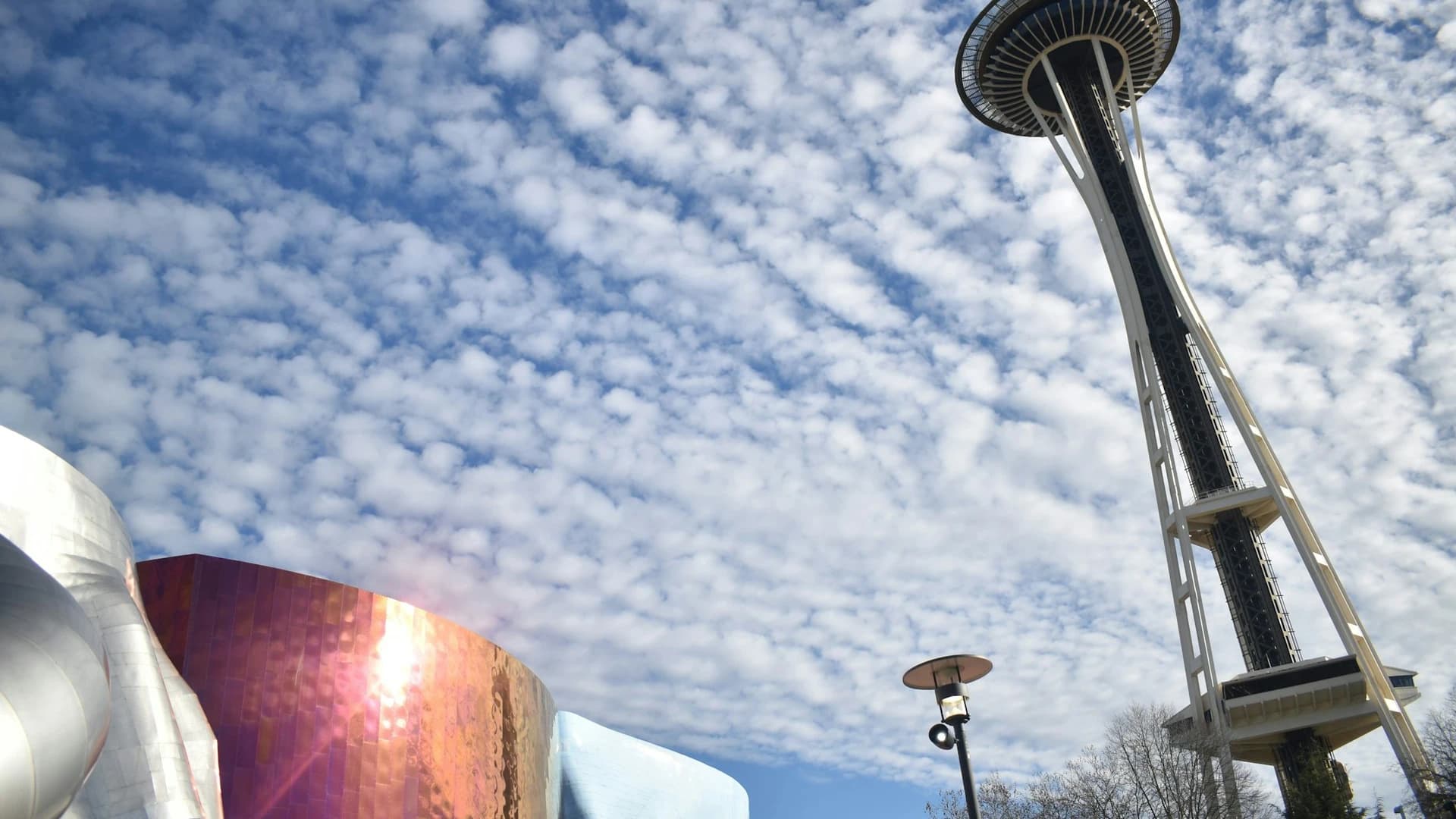 Seattle Center & Space Needle: Guided Walking Tour - image 8