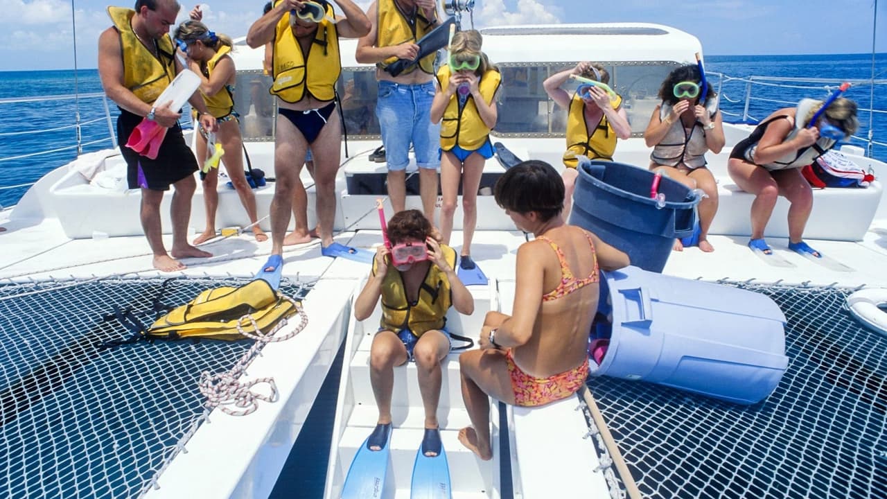 Key West: 3hr Snorkeling Experience with Unlimited Drinks - Photo 4