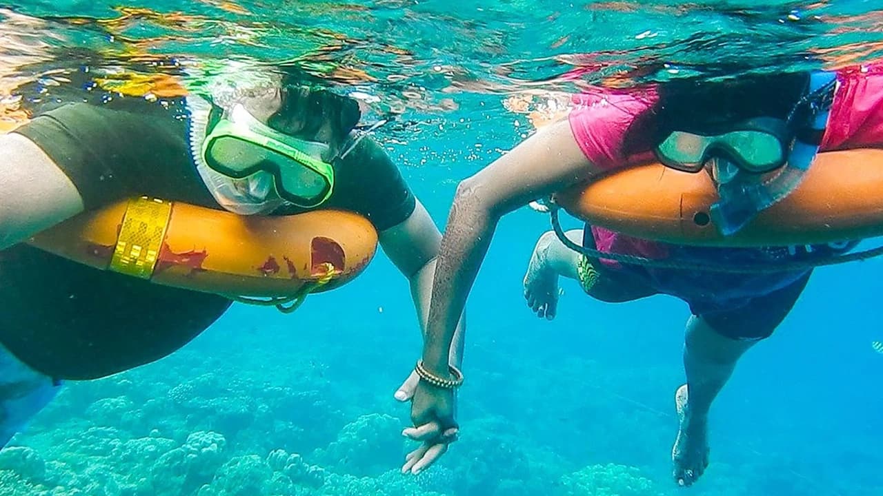 Key West: 3hr Snorkeling Experience with Unlimited Drinks - image 6