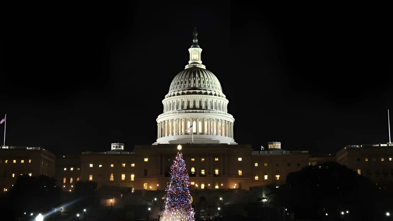 Washington DC Night Memorials Walking Tour with Skyline View - image 6