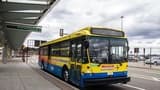 Manhattan: Bus Transfer from/to Newark Airport - image 6