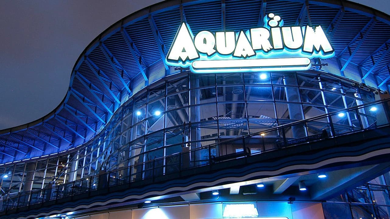 Downtown Aquarium Denver Ticket