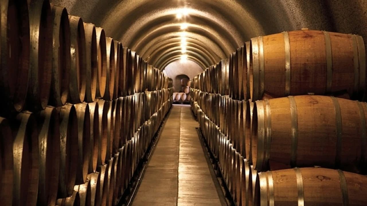 From San Francisco: Full Day Napa Valley Wine Tasting Tour