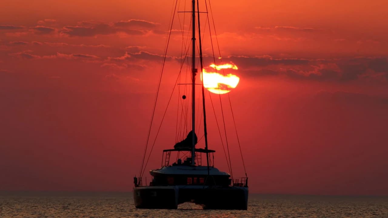 Key West: Dolphin Watching Cruise + Snorkeling + Drinks - Photo 4