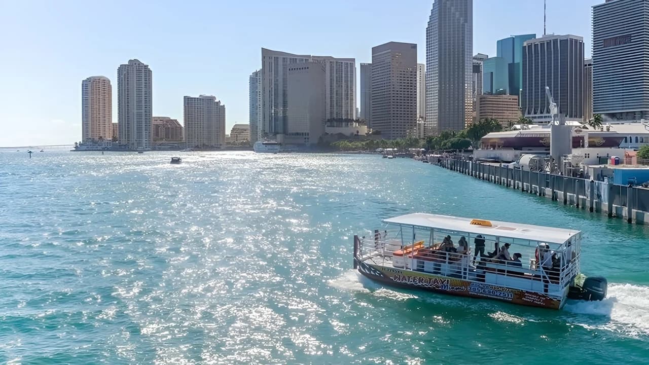 Miami Skyline Cruise of Millionaires’ Homes and Biscayne Bay