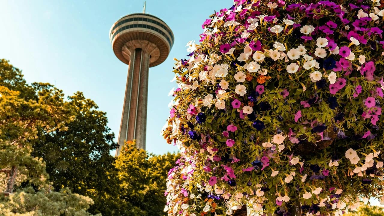 Niagara Falls(US & Canada): Guided Tour with Boat Cruise, Cave of the Winds & Skylon Tower