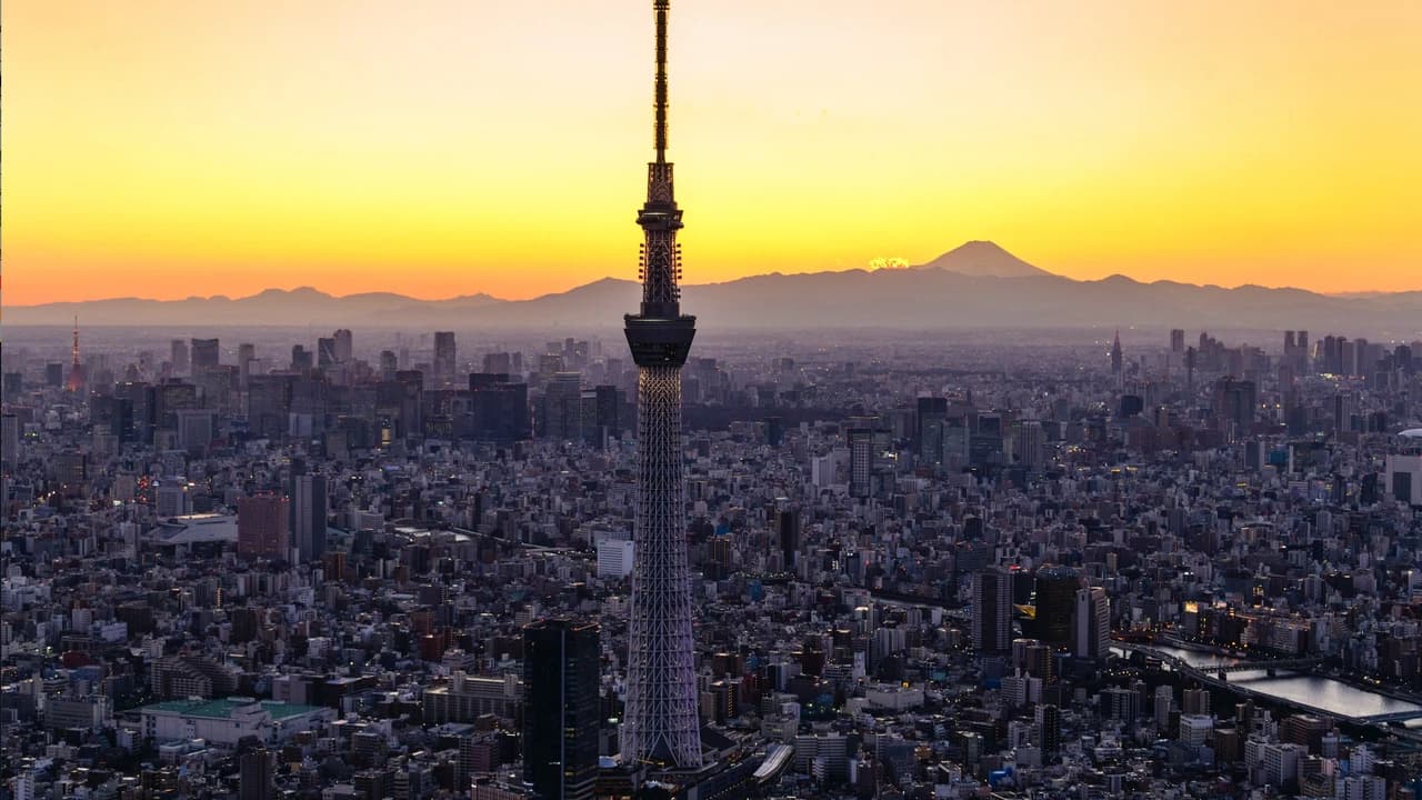 COMBO: Tokyo Skytree + Sumida Aquarium