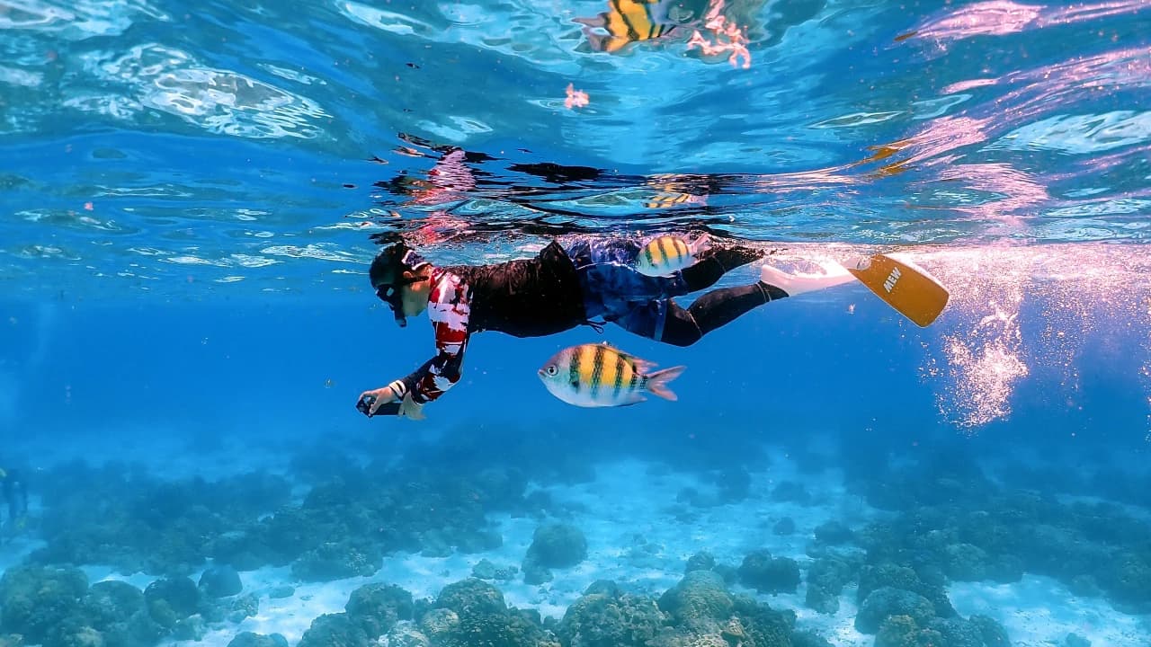 Raya Noi, Raya Yai, and Maiton Island Snorkelling Tour from Phuket