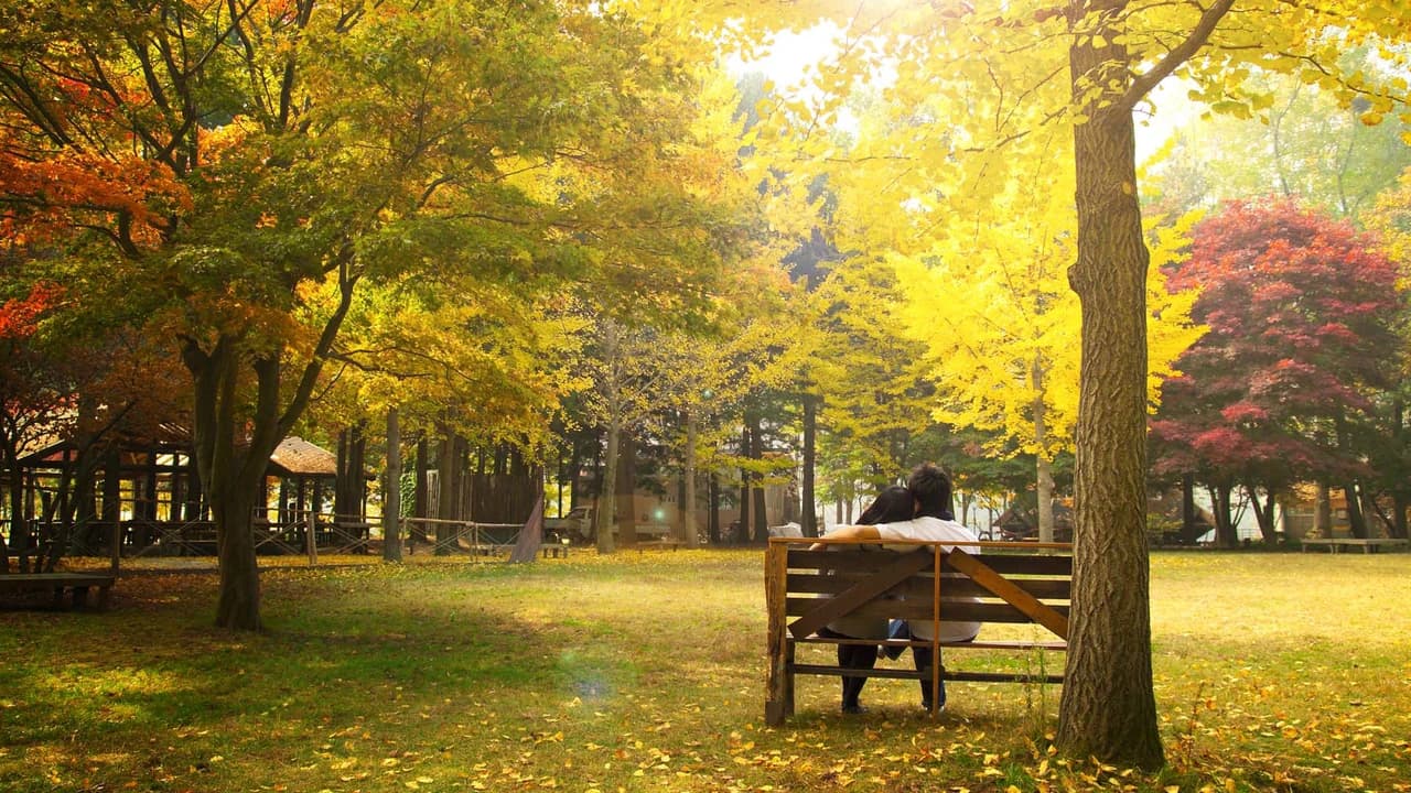 Nami Island Shuttle Bus Transfers from Seoul - Photo 2